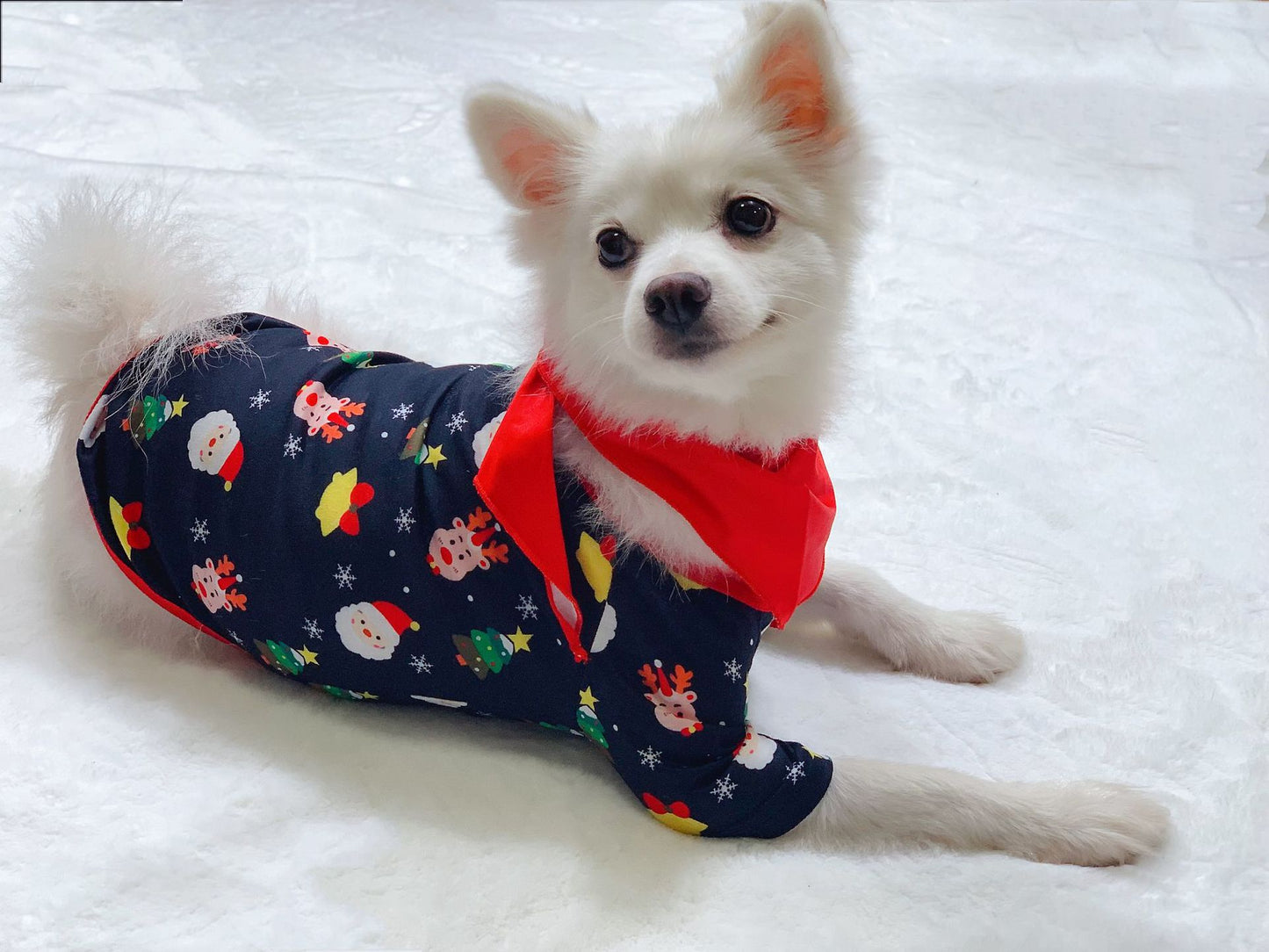 Family Matching Christmas Pajamas - Cotton Holiday Sleepwear Set