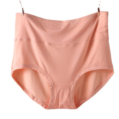 Women's Soft Modal High-Waist Comfort Panties - 4 Pack