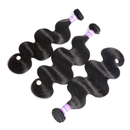 Straight Human Hair Wig - Full Size Real Hair Hairpiece in Black