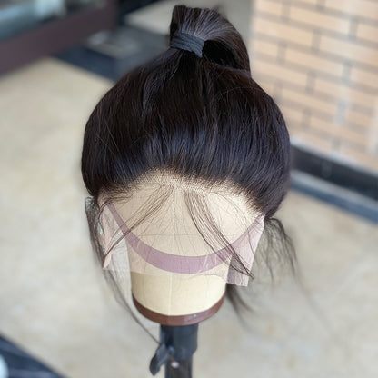 360 Lace Frontal Human Hair Wig - Virgin Hair Full Head Wig with Pre-Plucked Hairline