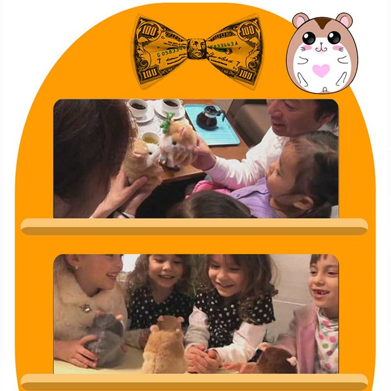 Talking Hamster Plush Toy - Voice Repeating Interactive Stuffed Animal for Kids
