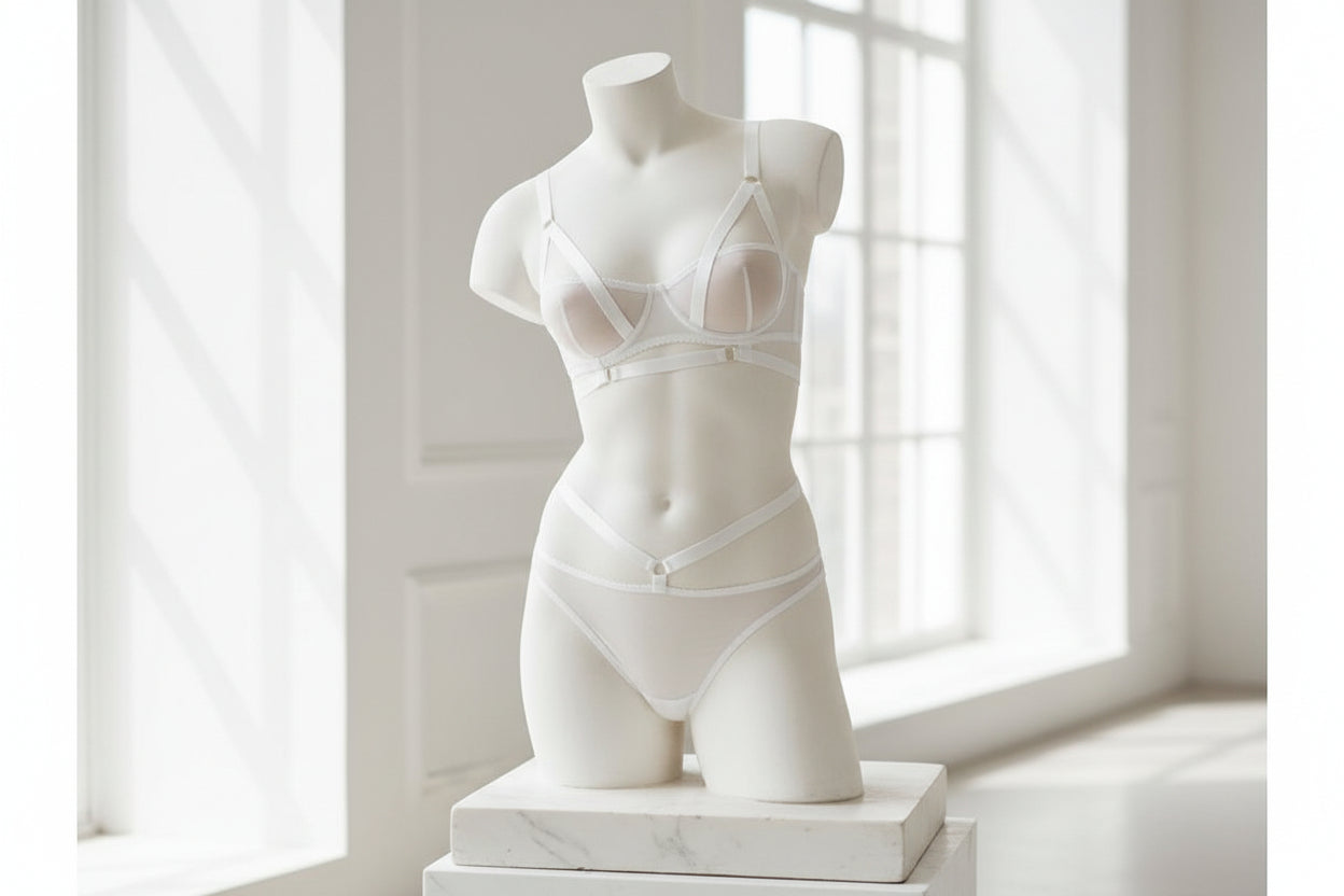 Women's Mesh Perspective Lingerie Set - High Waist Bra and Brief