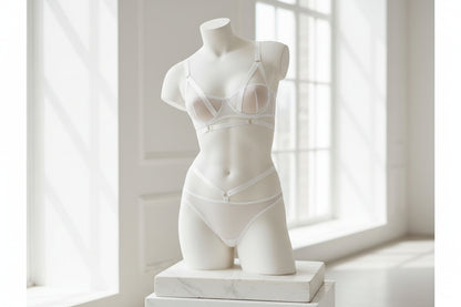 Women's Mesh Perspective Lingerie Set - High Waist Bra and Brief