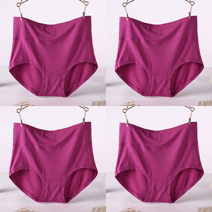 Women's Soft Modal High-Waist Comfort Panties - 4 Pack