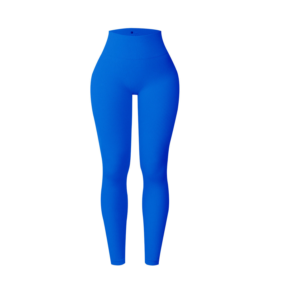 European-Style Seamless Nylon Yoga Pants - Sports Leggings