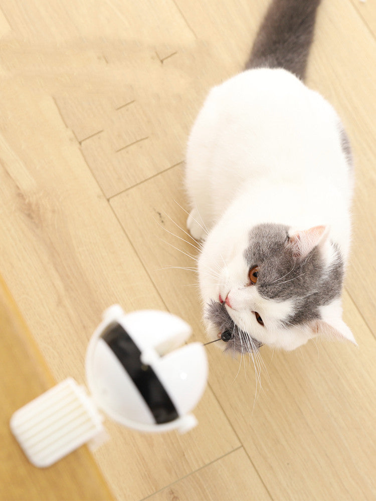 Electric Interactive Cat Toy - Automatic Lifting Motion Teaser Ball