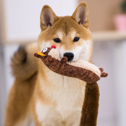 Plush Pet Toy with Sound - Soft Squeaky Toys for Dogs & Cats