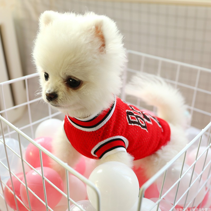 Breathable Polyester Dog Vest | Casual Summer Pet Clothes | Sizes 8–16 | Red & Black