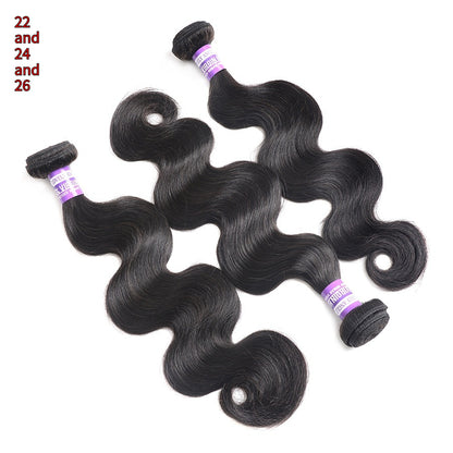 Straight Human Hair Wig - Full Size Real Hair Hairpiece in Black