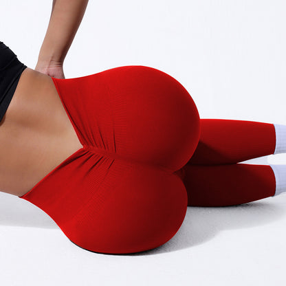 European-Style Seamless Nylon Yoga Pants - Sports Leggings