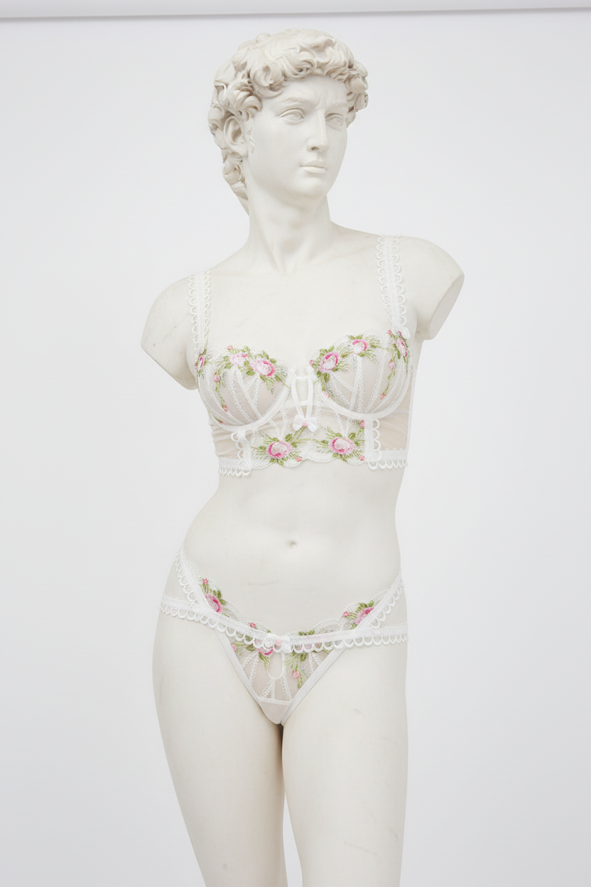 Women's Embroidered Mesh Lingerie Set - High-Density Floral Design Bra and Panty