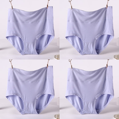 Women's Soft Modal High-Waist Comfort Panties - 4 Pack