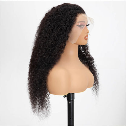 Long Black Curly Lace Front Wig - Small Curls Fluffy Style