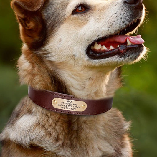Genuine Leather Dog Collar - Cowhide with Engraved Personalization and Anti-Loss Design