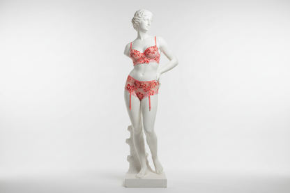 Women's Embroidered Lingerie Set - Delicate Floral Design Bra and Panty