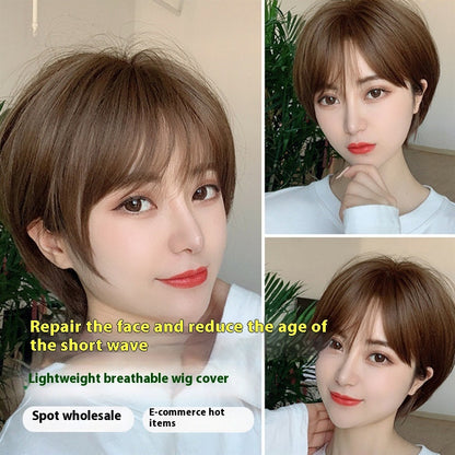 Short Straight Human Hair Wig - Natural Fluffy Style