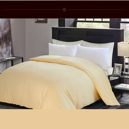 Luxe Mulberry Silk Quilt - Thickened Air Conditioner Comforter